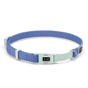 Collier pour chat Bleu hydrangea & Aqua (élastique)