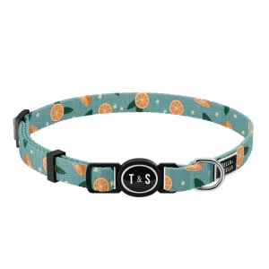 Collier pour chat Oranger